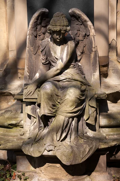 Estatua de ángel en el cementerio en Europa —  Fotos de Stock