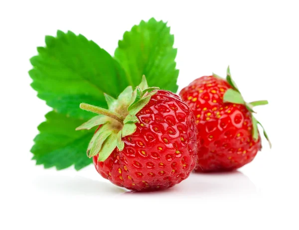 Strawberries isolated over white background — Stock Photo, Image