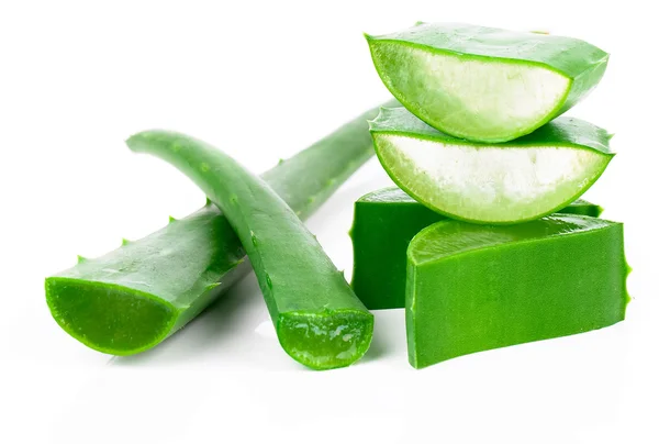 Aloe vera taze yaprak. beyaz üzerinde izole