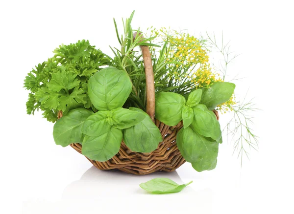 Wicker basket with fresh herbs - basil, rosemary, dill, parsley. — Stock Photo, Image