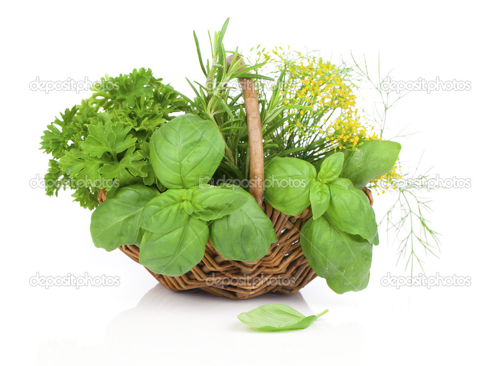 Wicker basket with fresh herbs - basil, rosemary, dill, parsley.