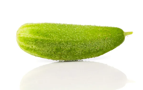 Fresh cucumbers, isolated on a white background — Stock Photo, Image