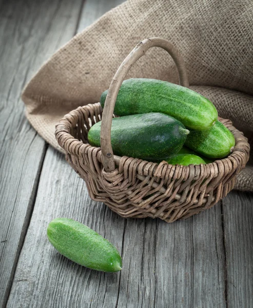 Oogst komkommers in een mand op de houten achtergrond — Stockfoto