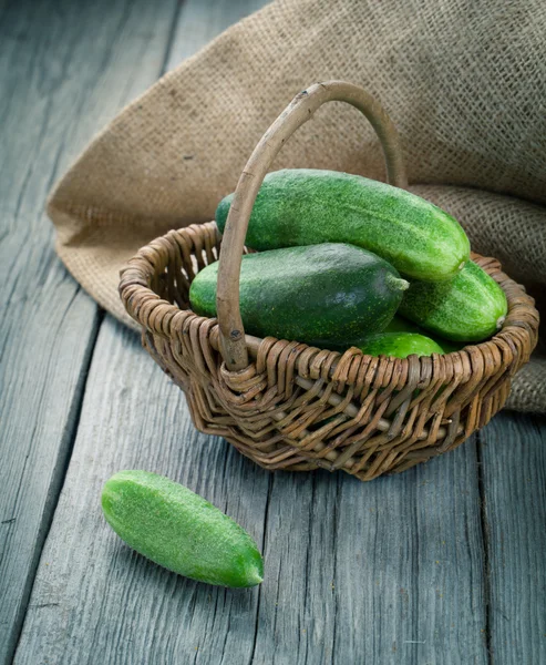 Oogst komkommers in een mand op de houten achtergrond — Stockfoto