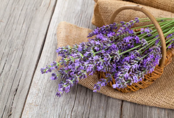 Flores de lavanda em uma cesta com serapilheira no backgrou de madeira — Fotografia de Stock