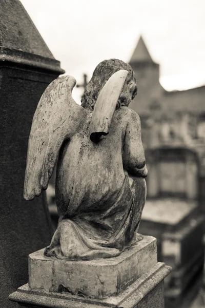 Carcassonne Angel Statue — Stock Photo, Image