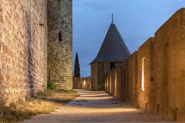 カルカソンヌの中世の城 ロイヤリティフリーのストック写真