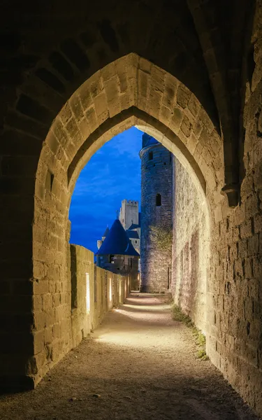 カルカソンヌの中世の城 ストック写真