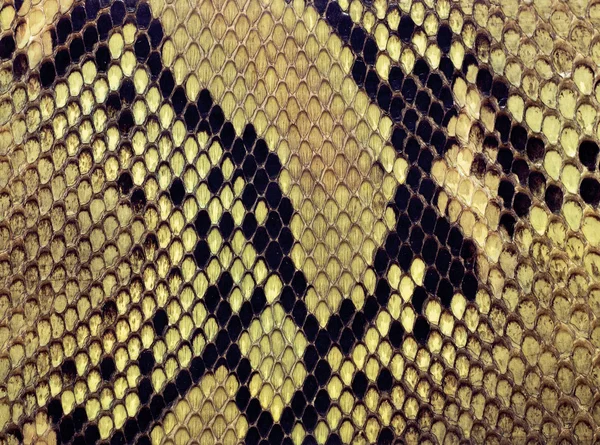 Φίδι φόντο του δέρματος Royalty Free Εικόνες Αρχείου
