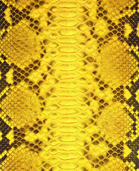 Φίδι φόντο του δέρματος Φωτογραφία Αρχείου