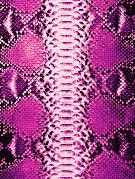 Snake skin background — Stock Photo, Image