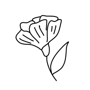 Tarla çiçeği beyazda yalıtılmış. Vektör illüstrasyonu