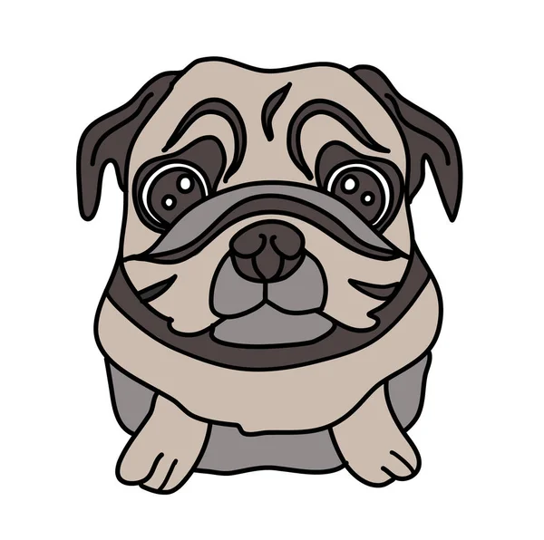 Hand-drawn pug isolated on white background. Dog vector illustration — Stock Vector