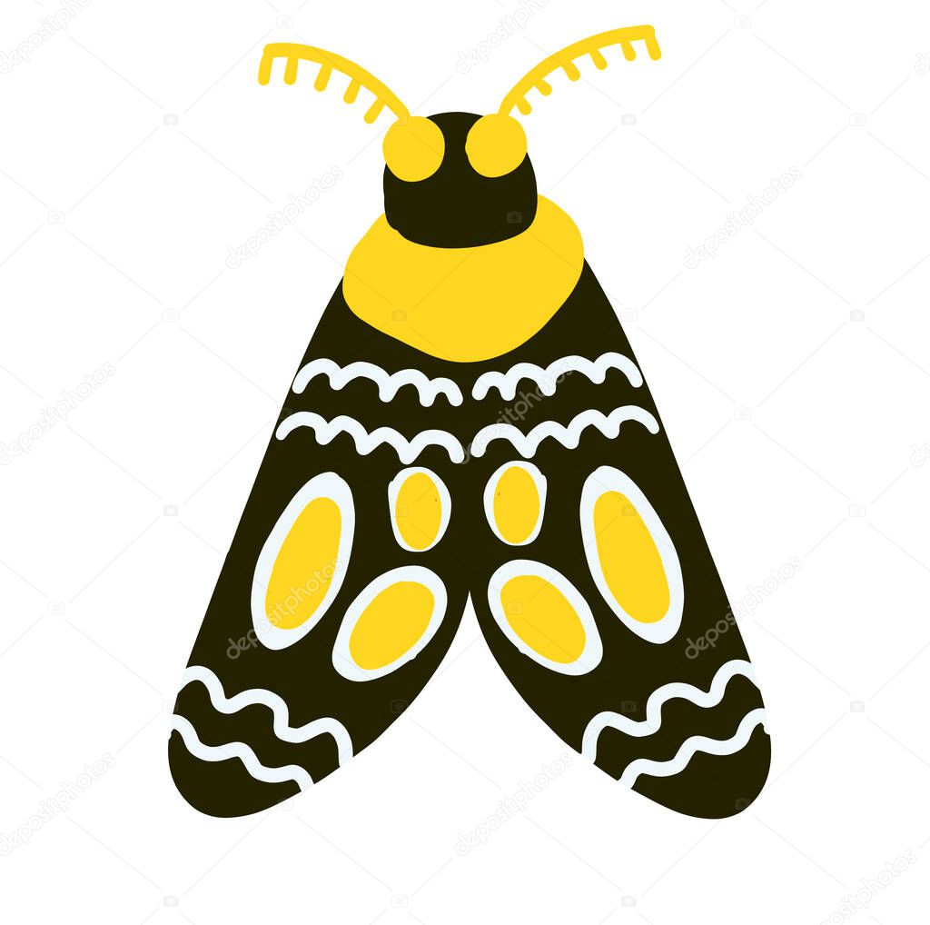 Doodle moth with ornament on wings isolated on white