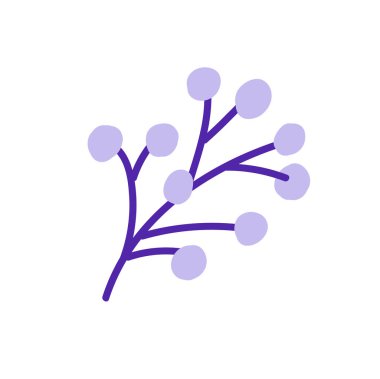 Beyazın üzerinde izole edilmiş kış meyveleri. Vektör.