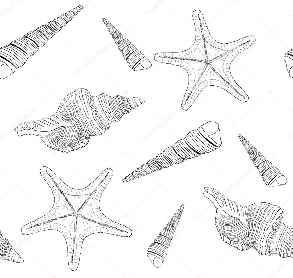 Marine pattern with seashells and starfish. Vector illustration.