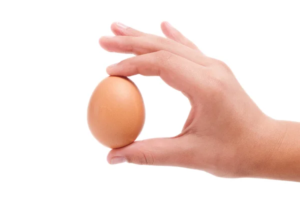 Egg in the hand isolated on white — Stock Photo, Image