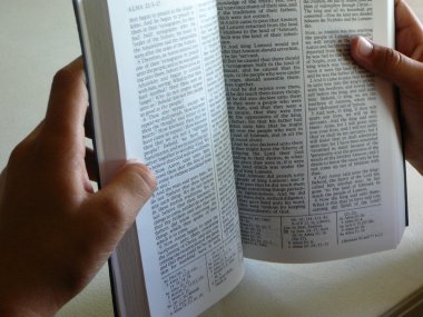 Mormon Kitabı