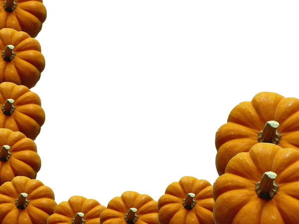 Pumpkin Frame — Stock Photo, Image