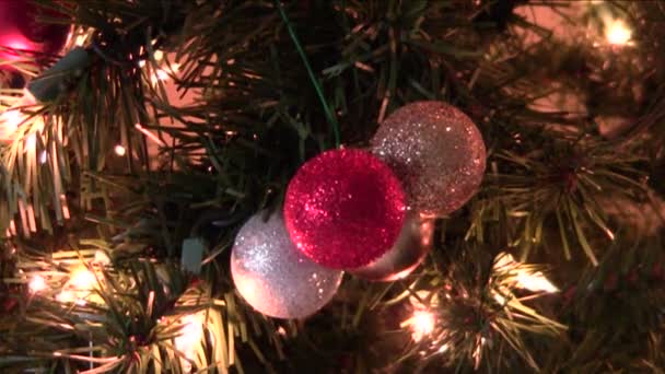 Χριστουγεννιάτικο δέντρο φόντο — Αρχείο Βίντεο