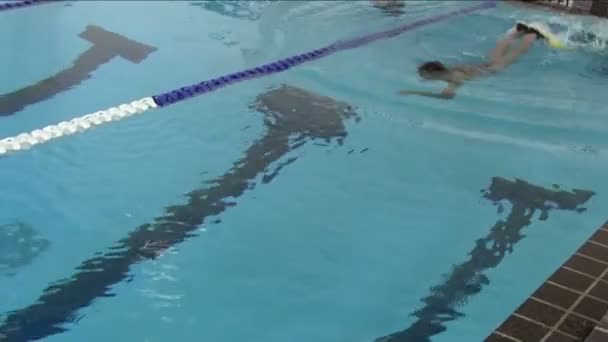 Plavání s monoploutve — Stock video