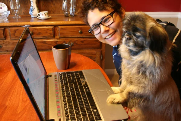 yaşlı bir köpek, yeni hile