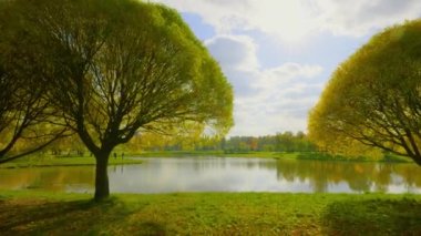 Şehir parkındaki altın sonbahar ağaçları parlak renklerle boyar ve düşen yapraklarda güneşin ışınlarıyla oynar..