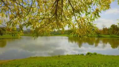 Şehir parkındaki altın sonbahar ağaçları parlak renklerle boyar ve düşen yapraklarda güneşin ışınlarıyla oynar..