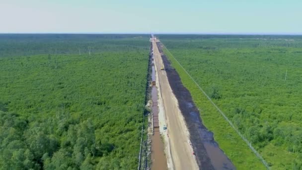 Widok Góry Budowę Nowej Autostrady Dużą Skalę Środku Gęstego Zielonego — Wideo stockowe