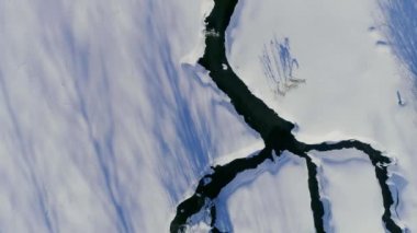 Soğuk bir kış sabahı güneş, donmuş kuzey doğasının sükunetini aydınlatır..