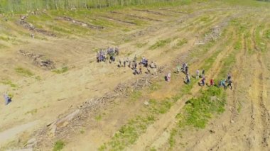 İlk mahsulü temizlemek, ekip biçmek ve biçmek için ilkbahar işidir..