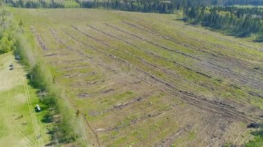 İlk mahsulü temizlemek, ekip biçmek ve biçmek için ilkbahar işidir..