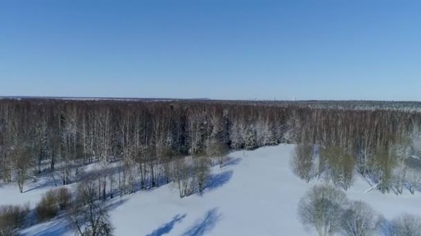 Zon Een Ijzige Winterochtend Verlicht Rust Van Bevroren Noordelijke Natuur — Stockvideo