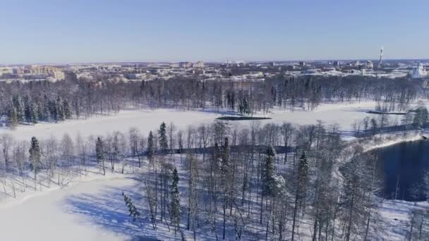 Zon Een Ijzige Winterochtend Verlicht Rust Van Bevroren Noordelijke Natuur — Stockvideo
