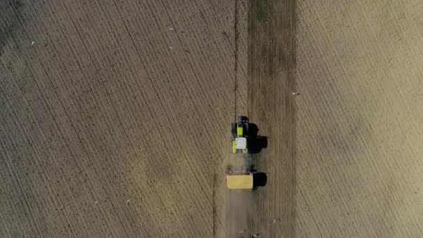 Trabalhos Primavera Nos Campos Para Limpeza Plantação Colheita Primeira Colheita — Vídeo de Stock