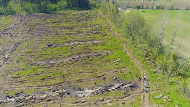 Весняні Роботи Полях Розчищення Посадки Збирання Першого Врожаю — стокове відео