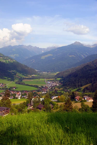 Avusturya doğa - zell am görmek