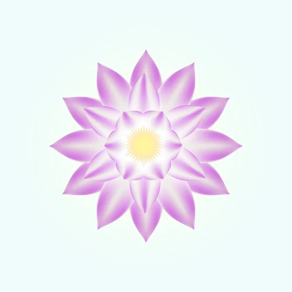 pembe lotus izole