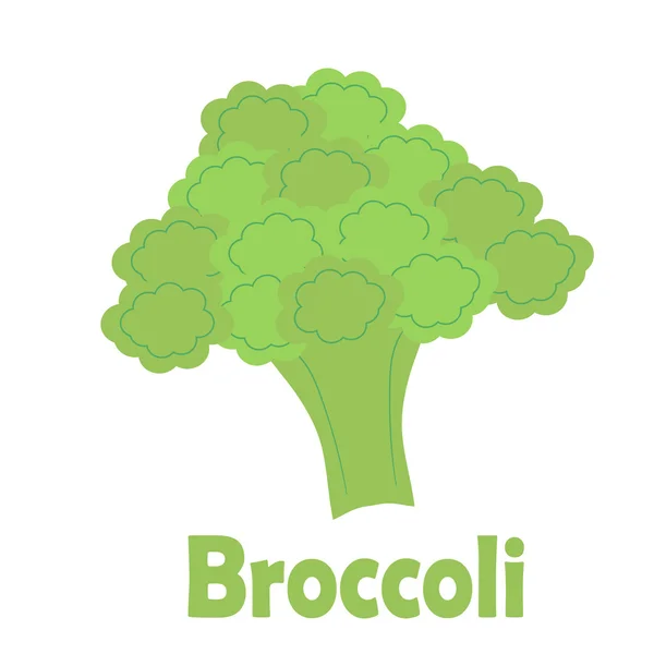 Brócoli de dibujos animados — Vector de stock