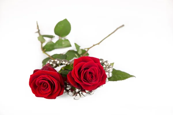 Two Valentines roses, isolated on white — Stock Photo, Image