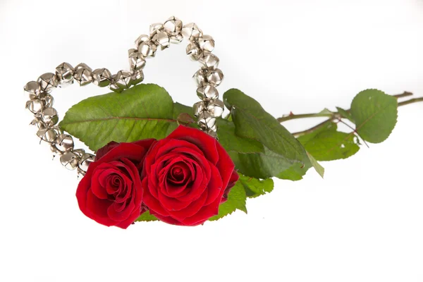 Dos rosas para San Valentín. Aislado sobre blanco —  Fotos de Stock
