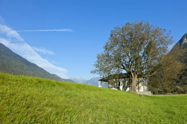 Berglandschap — Stockfoto