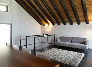 iç, modern dağ evi