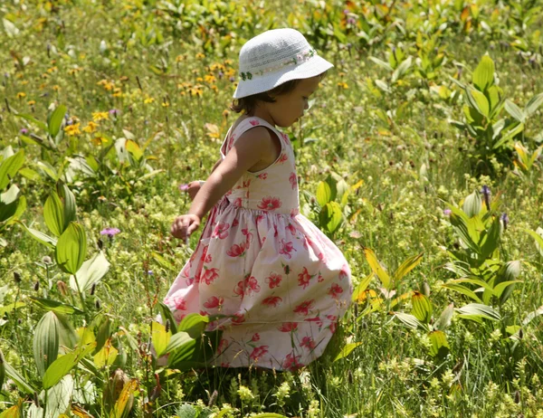 Küçük kız dağ çimenlerin üzerinde — Stok fotoğraf