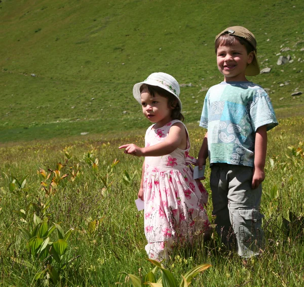 Bambino nell'erba di montagna — Foto Stock