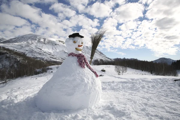 Snögubbe — Stockfoto