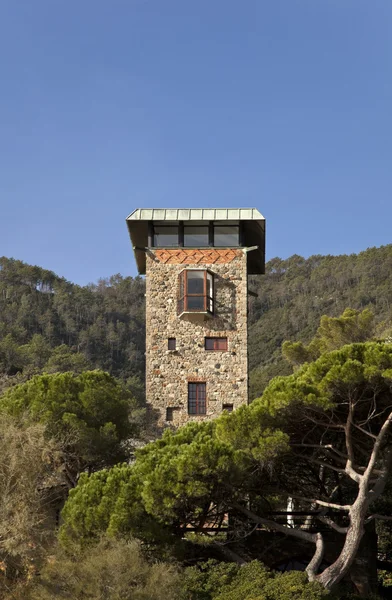 Torre antiga rodeada de verde — Fotografia de Stock