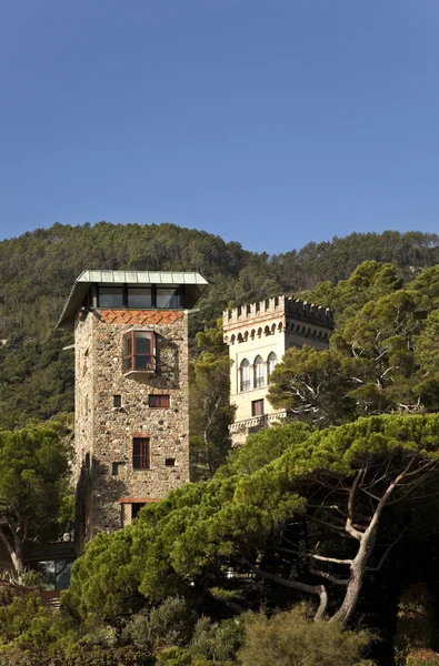 Antica torre immersa nel verde — Foto Stock