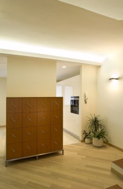 modern daire