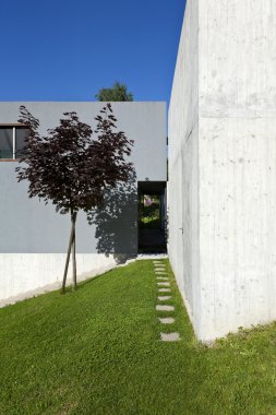 modern ev doğa ile çevrili
